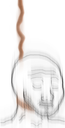 soy328.png