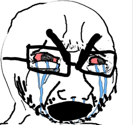 soy330.png