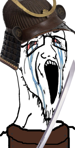 soy342.png