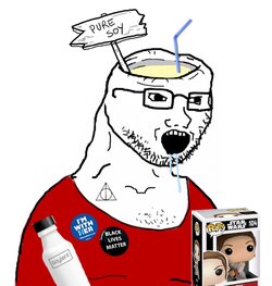soy394.jpeg