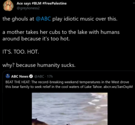 1626336873238.png