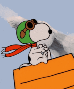 Gifs animados Snoopy 7.gif