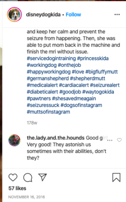 Screen Shot 2020-04-18 at 00.38.37.png