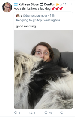 Screenshots_2021-07-15-22-15-31.png