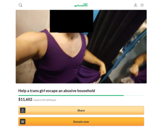 screencapture-gofundme-f-vevv4k-help-a-trans-girl-escape-an-abusive-household-2021-071-17-01_2...png
