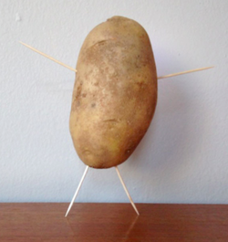 rollo25.png