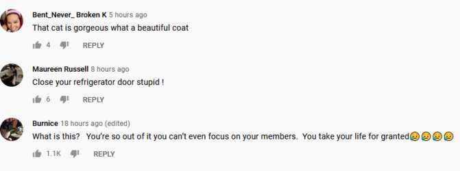 hibeezers.PNG
