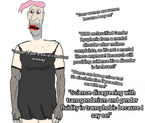 d41.jpg
