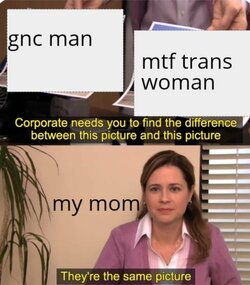 3w79o9rn60i51.jpg