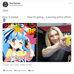 1607271320069.png
