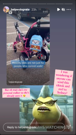 sydmeg2.png