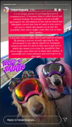 sydmeg3.png