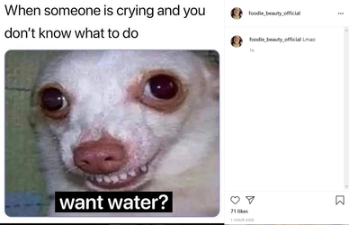 Untitled.png