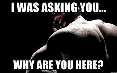 i-was-asking-you-why-are-you-here.jpg