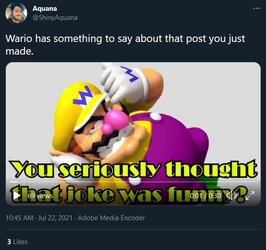 ChibiUnfunnyJokeVideo.jpg