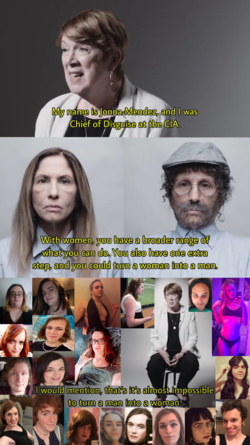 cia disguise.png