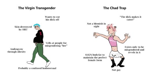 cr9zgnzj7ks01.png