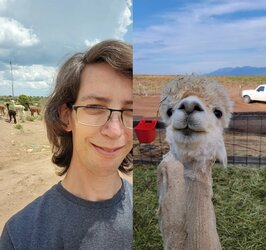 AlpacaMan.jpeg