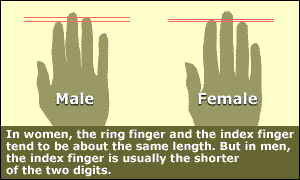 female_hands.gif