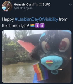 lesbian visibility day furry.png