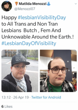 lesbian visibility day.png