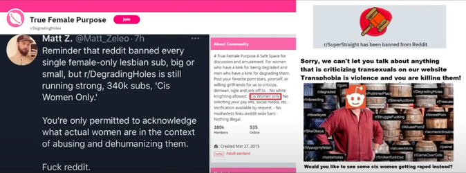 reddit is run by incel rapists.png