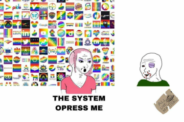 soy_all_lives_matter_establishment_pride_LGBT_BLM_corporations_america.png