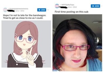 trans_46.jpg