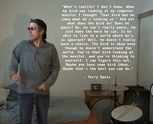 terry davis bird.jpg