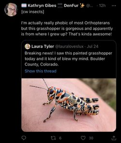 9679B474-A576-47E8-B100-0C5535D47211.jpeg