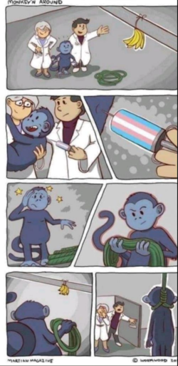 monke.png