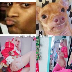 spotthedifferencelol.jpeg