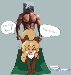 fiddleafox5.png