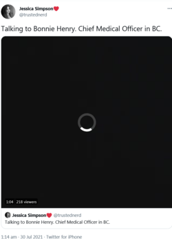 1627617334847.png