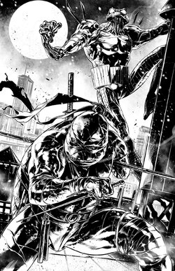 CanaanWhite_CyberFrog-03_Raphael.jpg