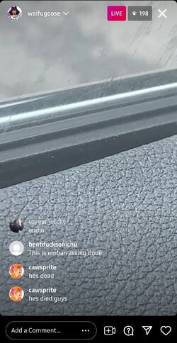 Screenshot_20210801-095704_Instagram.jpg