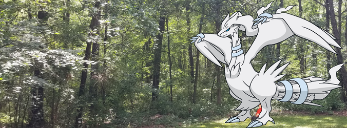 august.1.2.png