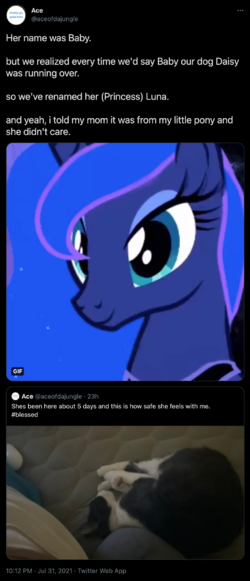 screencapture-twitter-aceofdajungle-status-1421670253709434880-2021-08-01-15_09_33.png