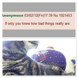 1D7170B1-BCF6-4C28-A449-49F32848C4AF.jpeg