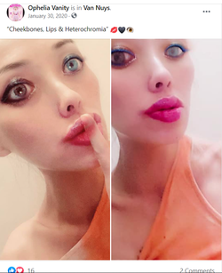 fb9.png