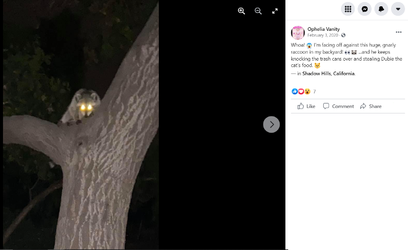 fb10.png