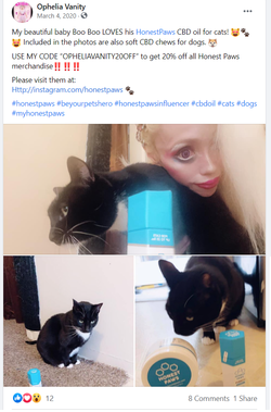 fb15.png