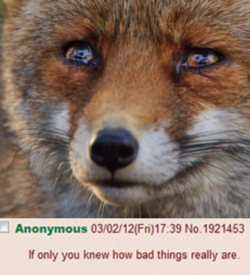 If only you knew.png