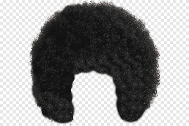 png-clipart-black-afro-wig-afro-textured-hair-wig-hair-black-hair-people.png