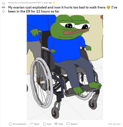 apustaja.png