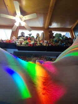 20210802_210713.jpg