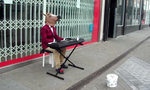 Piano-Playing-Horse-Leeds.jpg