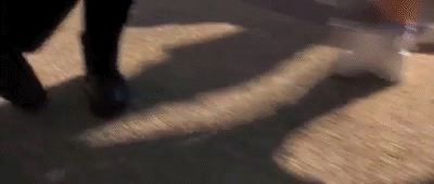 97CFC100-9759-4E1F-95A8-AD5819C45B34.gif