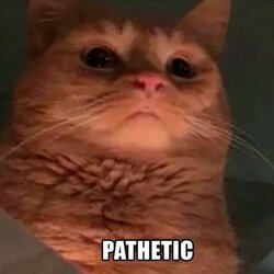 pathetic2.jpg