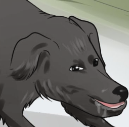 max.png